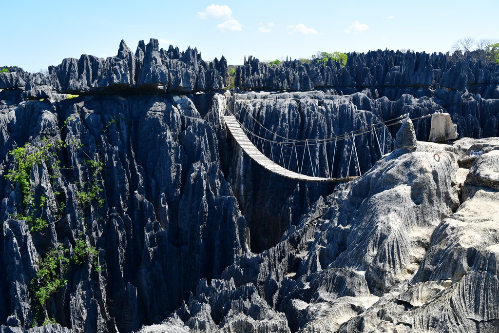 Tsingy of Bemaraha N.P.